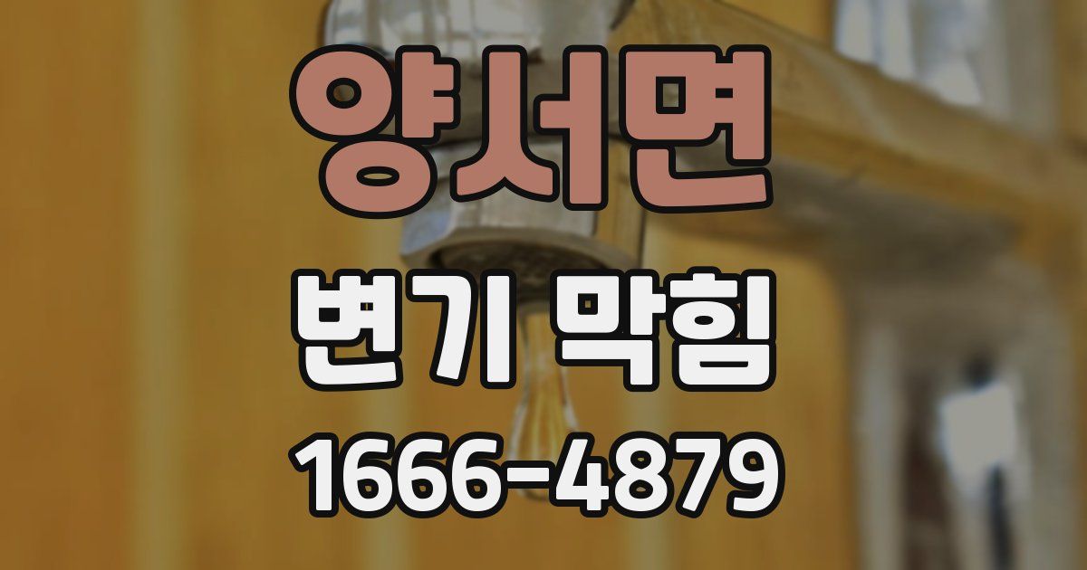 양서면 변기 막힘