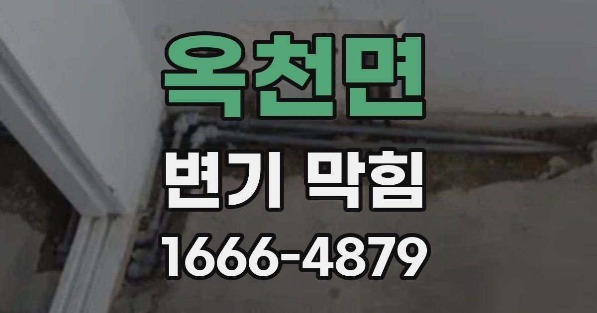 옥천면 변기 막힘