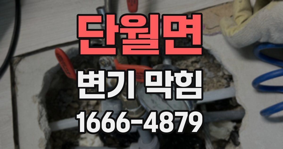 단월면 변기 막힘