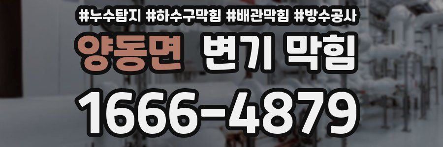 양동면 변기 막힘