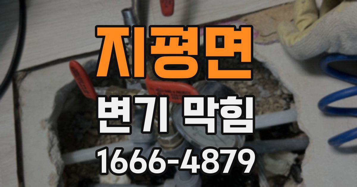 지평면 변기 막힘