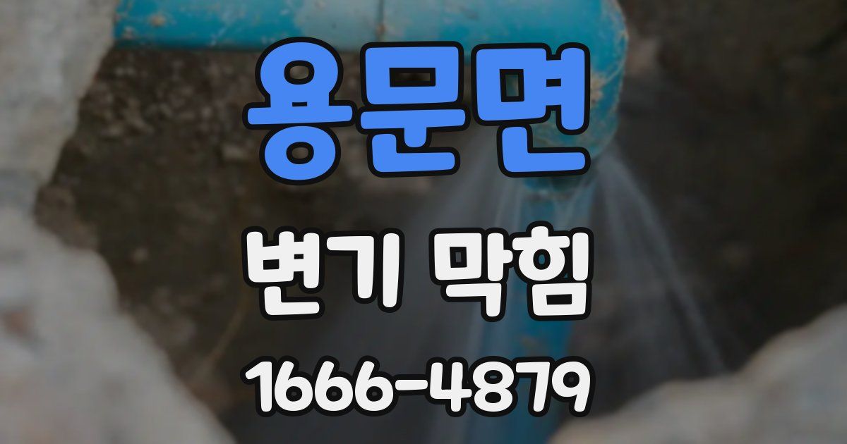 용문면 변기 막힘