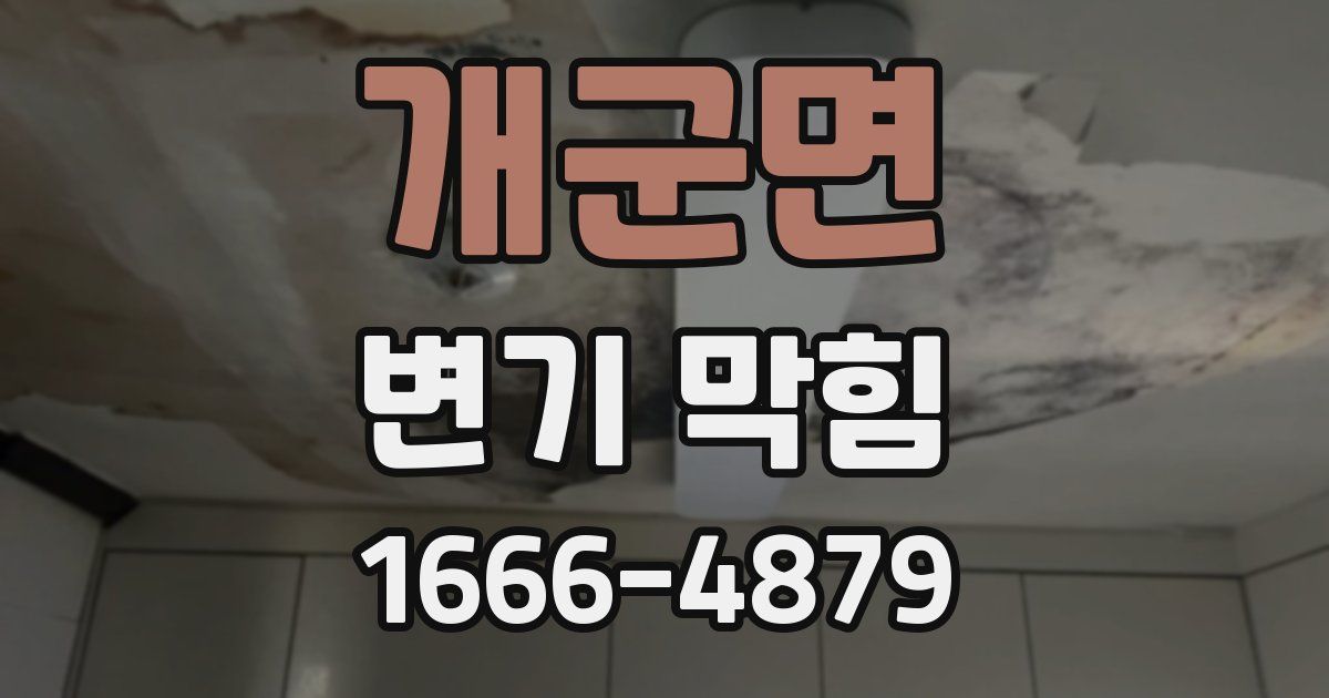 개군면 변기 막힘