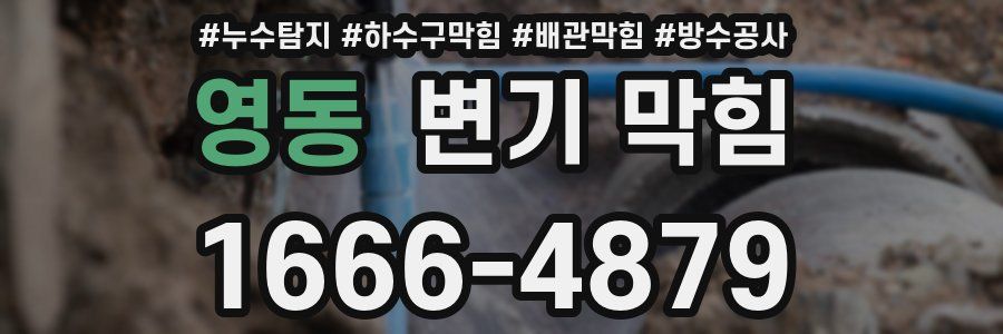 영동 변기 막힘