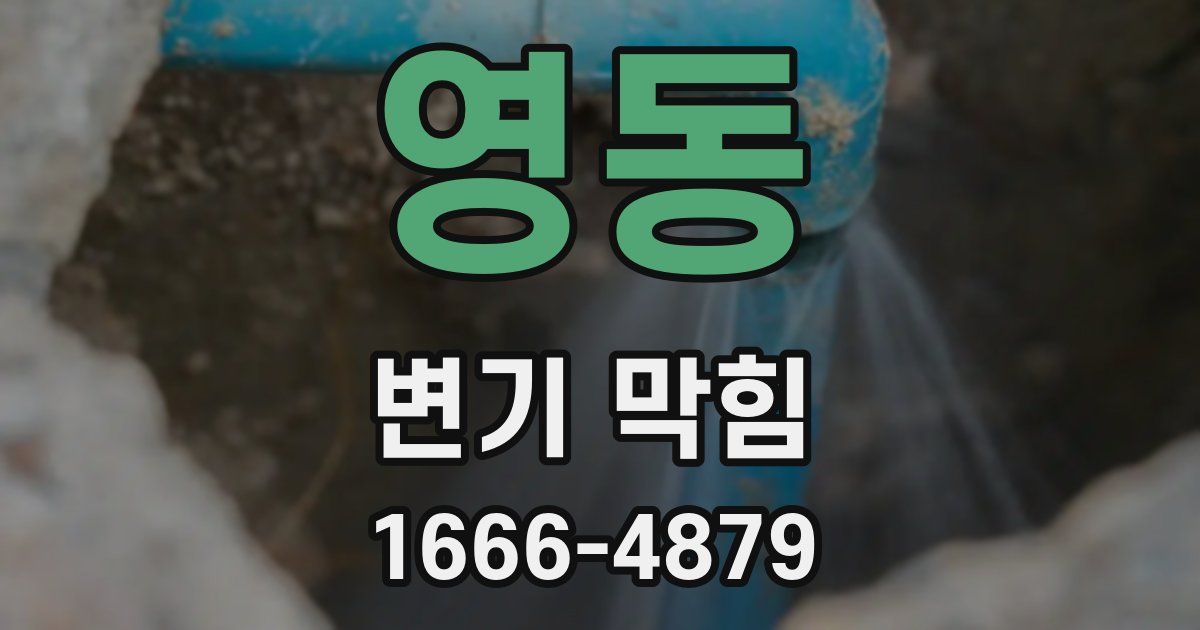 영동 변기 막힘