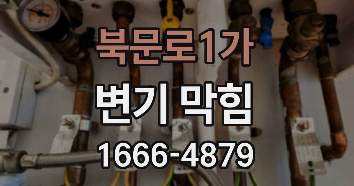 북문로1가 변기 막힘