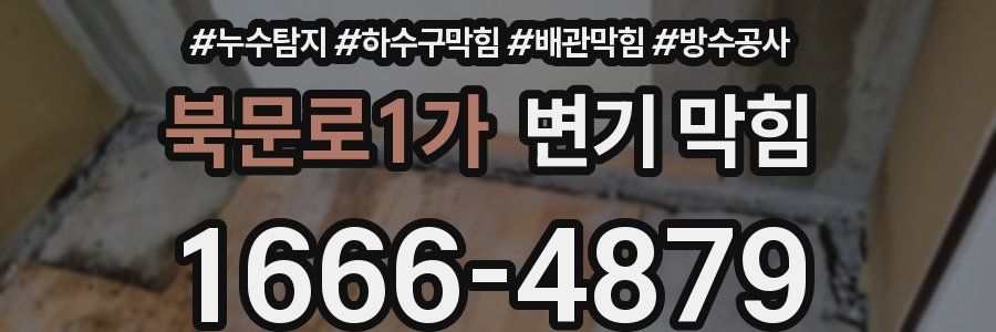 북문로1가 변기 막힘