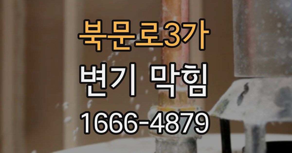 북문로3가 변기 막힘