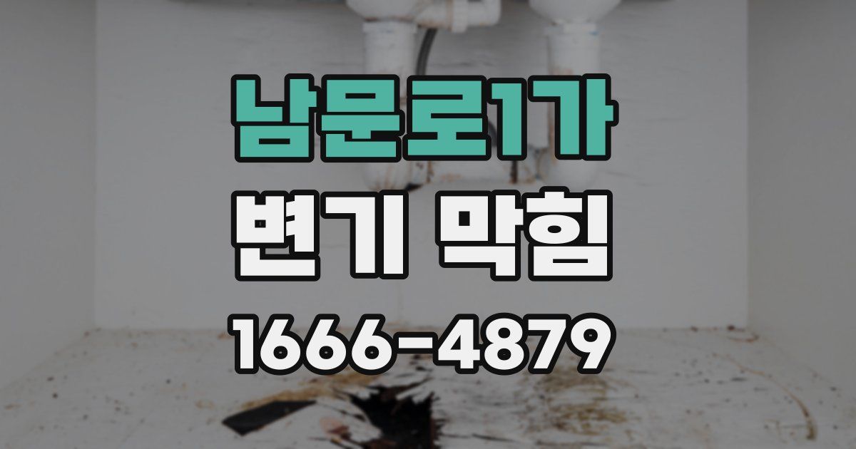 남문로1가 변기 막힘