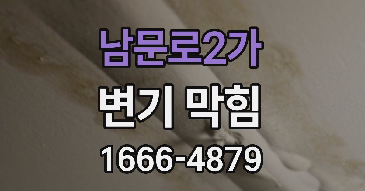 남문로2가 변기 막힘