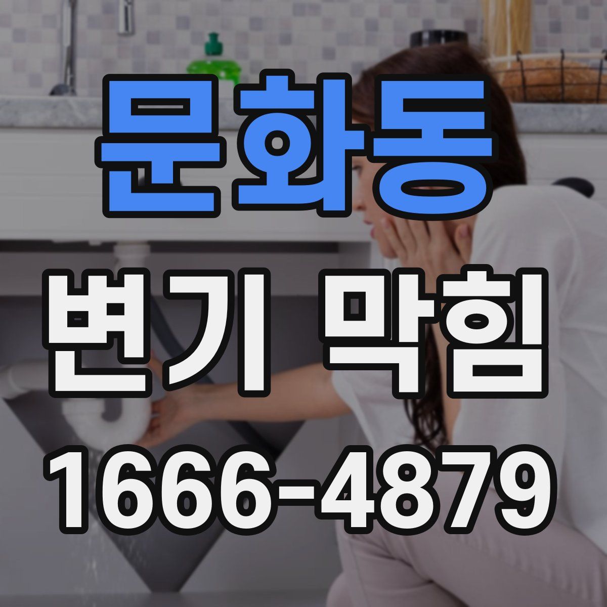 문화동 변기 막힘