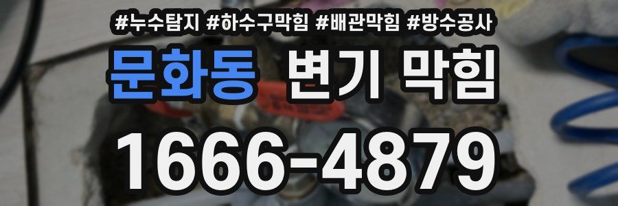 문화동 변기 막힘