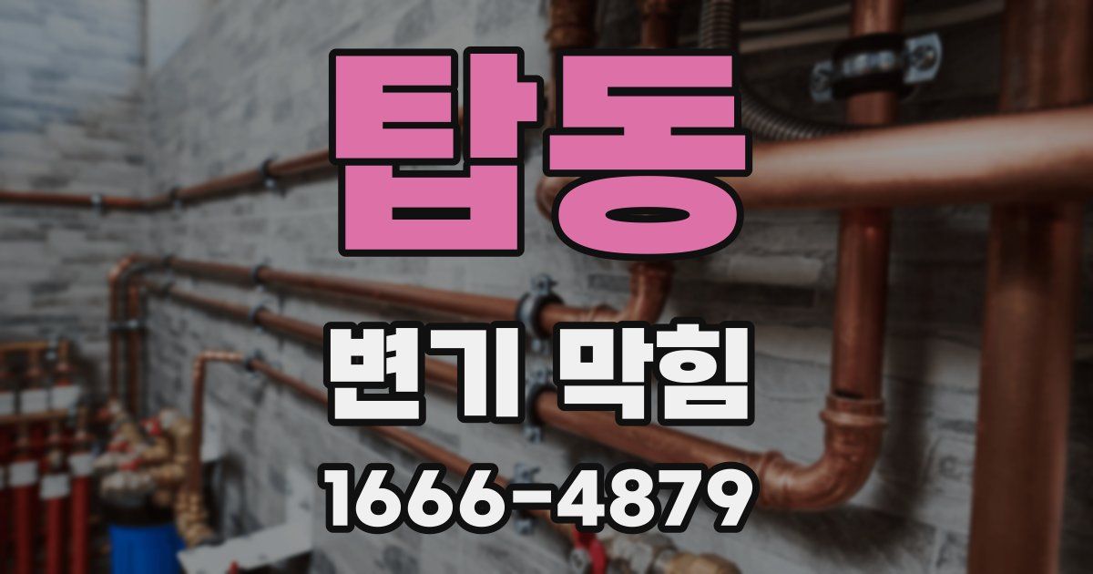 탑동 변기 막힘