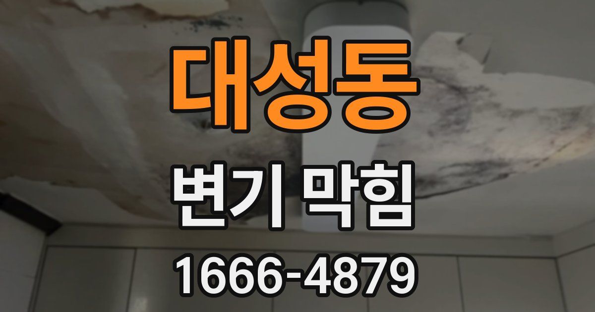 대성동 변기 막힘