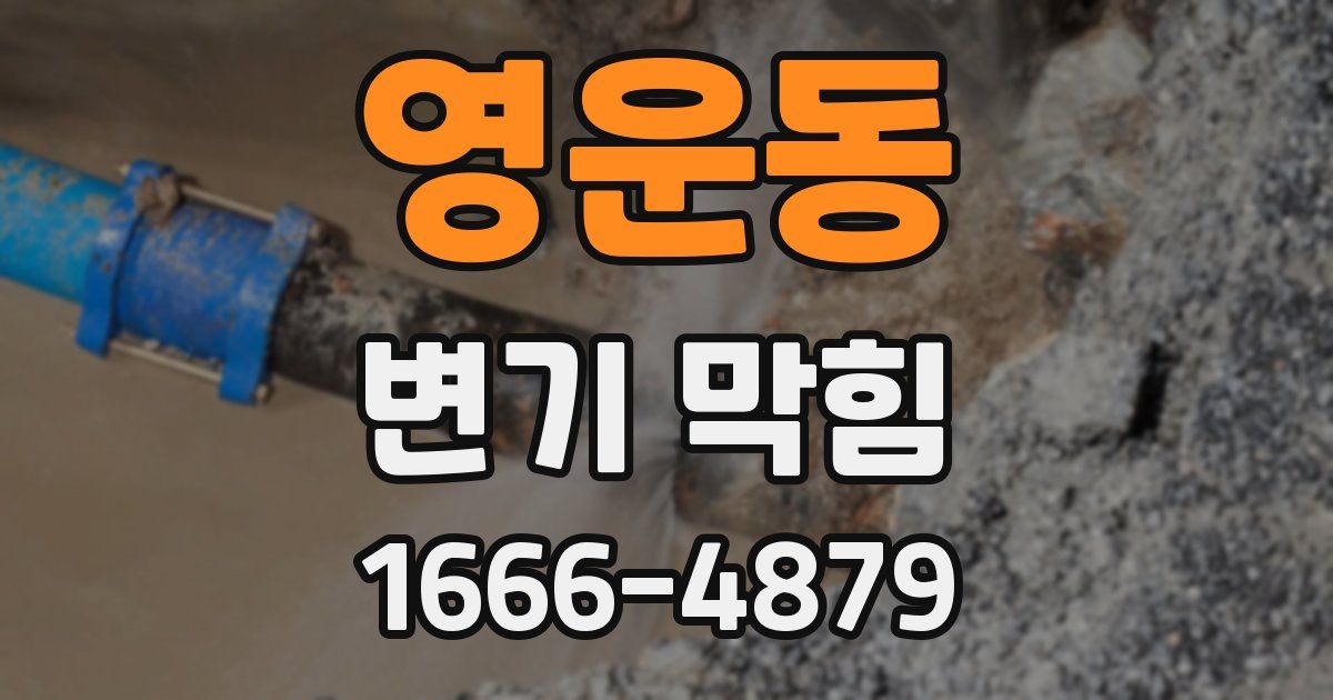 영운동 변기 막힘