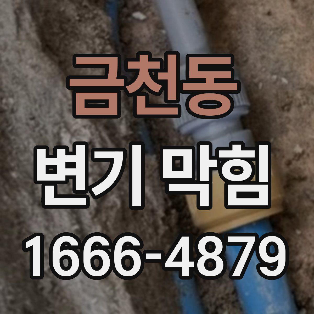 금천동 변기 막힘