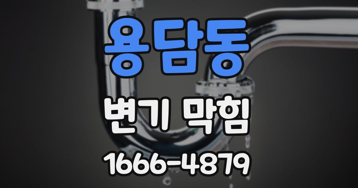 용담동 변기 막힘