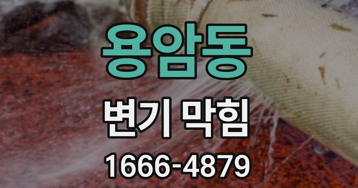 용암동 변기 막힘