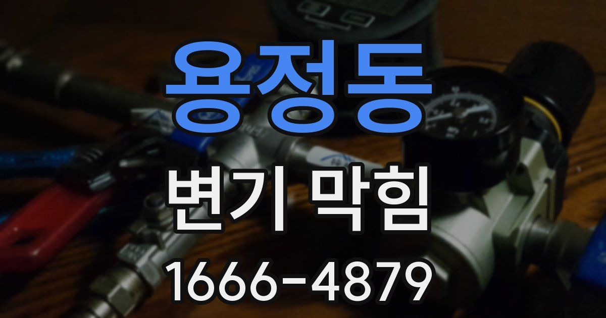 용정동 변기 막힘