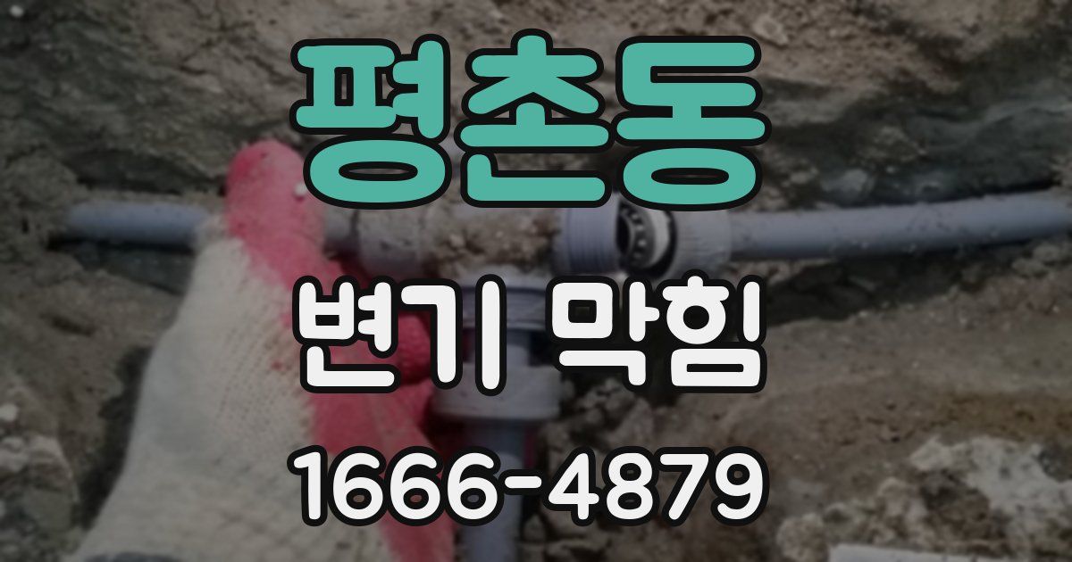 평촌동 변기 막힘