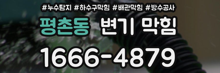 평촌동 변기 막힘
