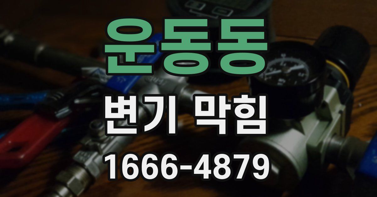 운동동 변기 막힘