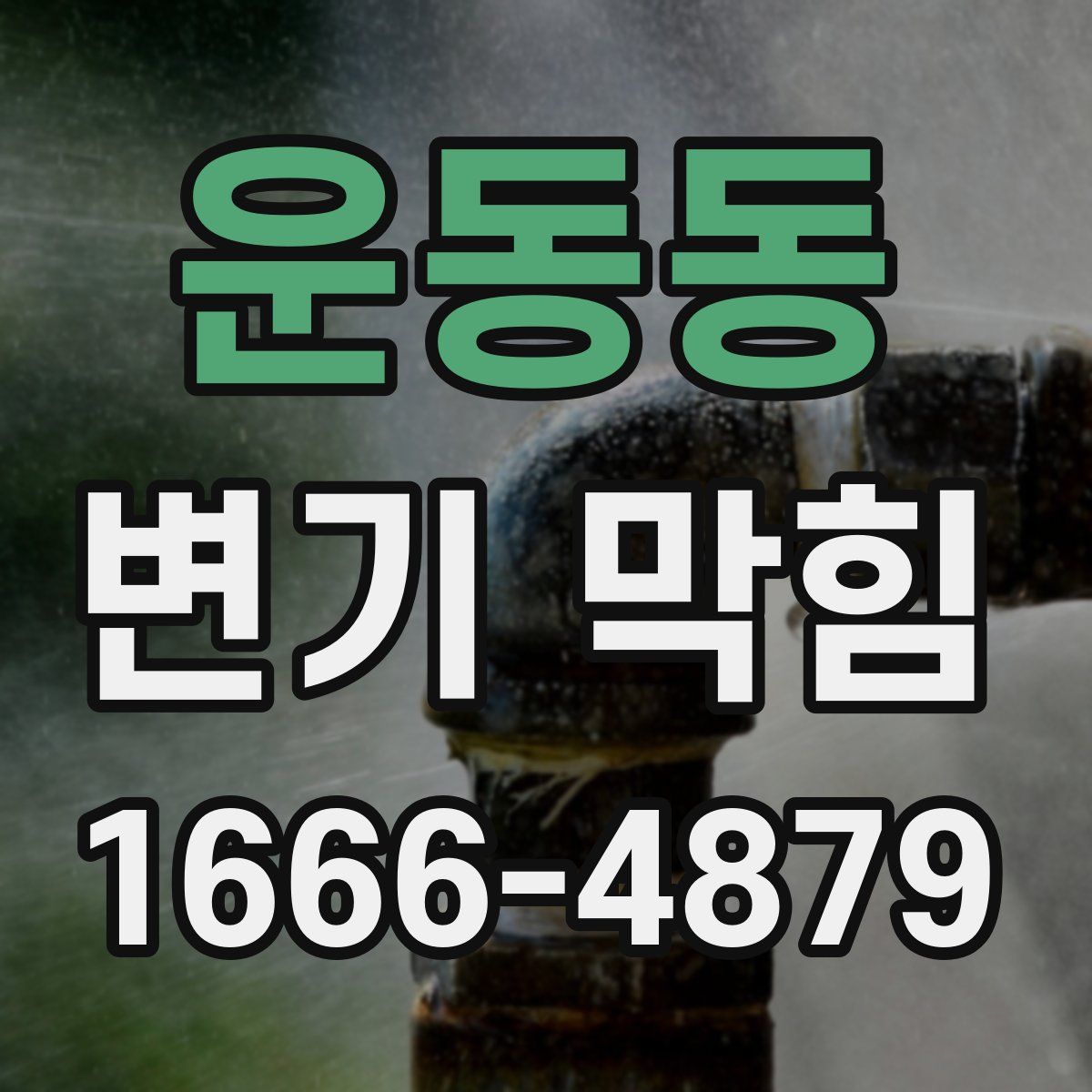 운동동 변기 막힘