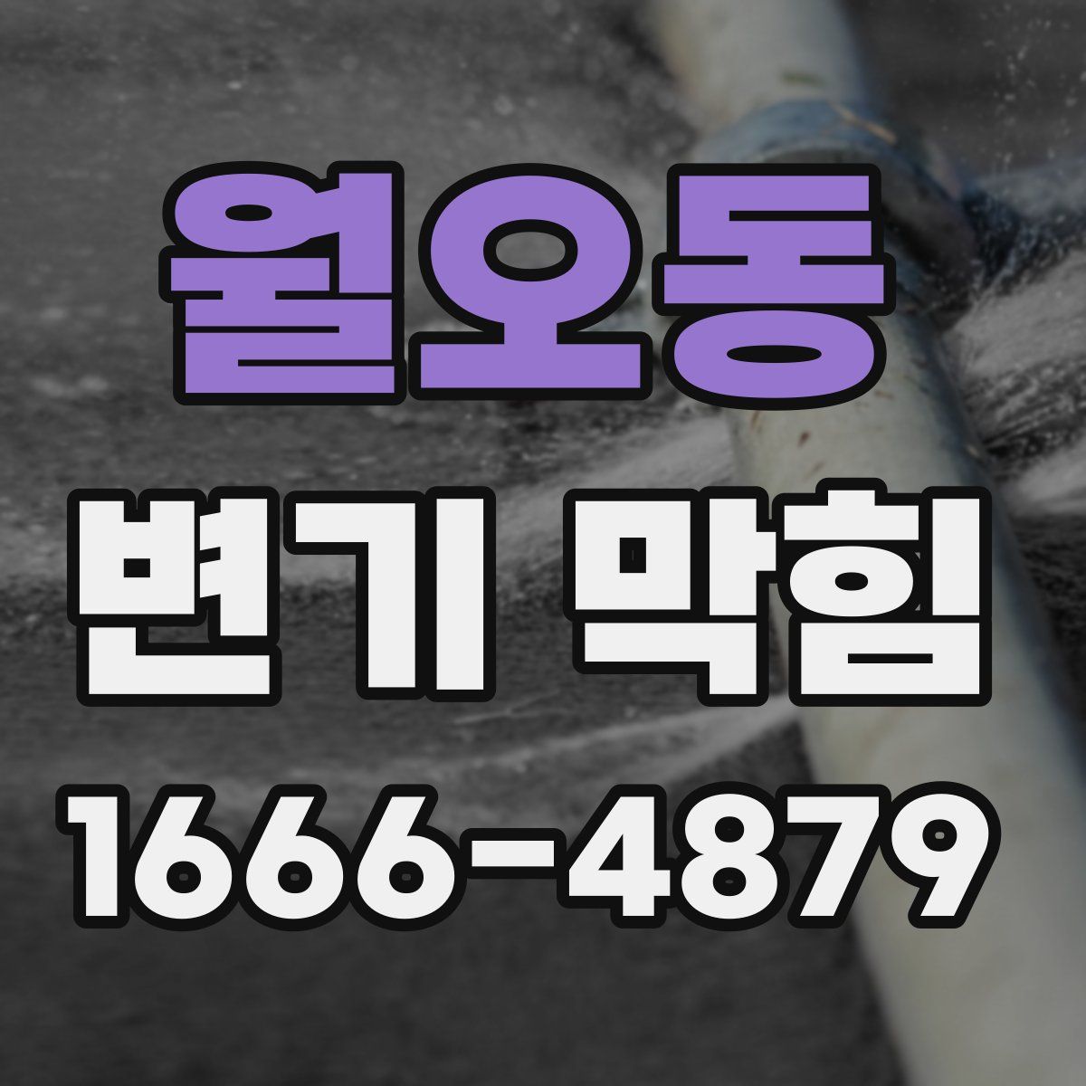 월오동 변기 막힘