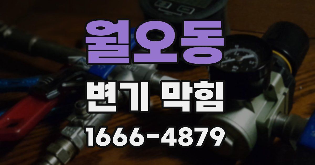 월오동 변기 막힘