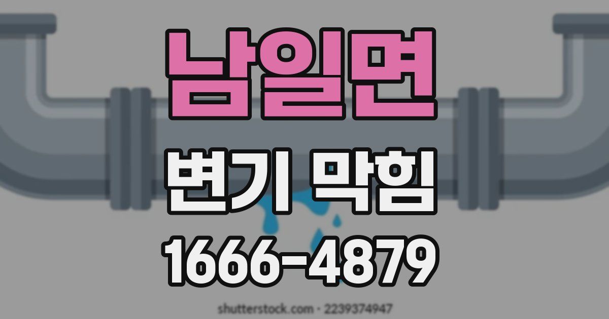 남일면 변기 막힘