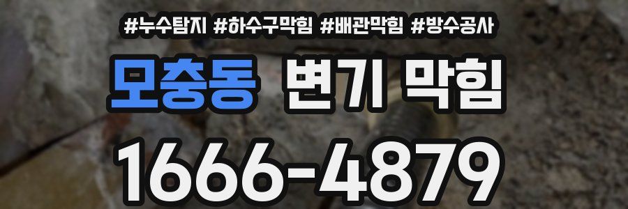모충동 변기 막힘