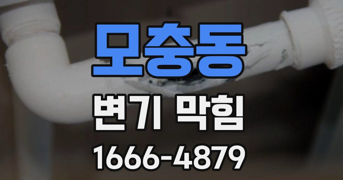 모충동 변기 막힘