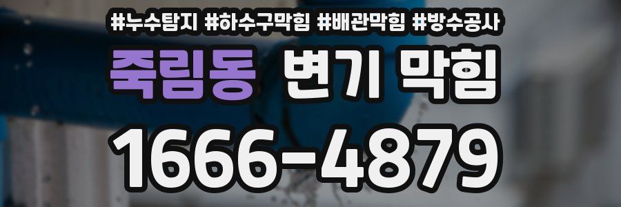 죽림동 변기 막힘