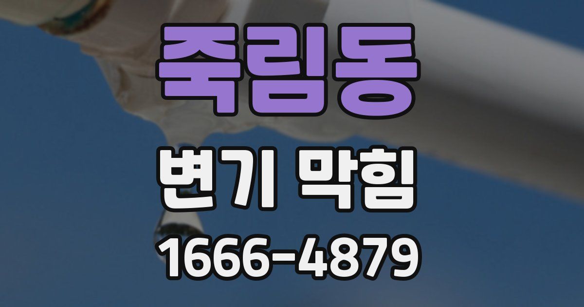 죽림동 변기 막힘