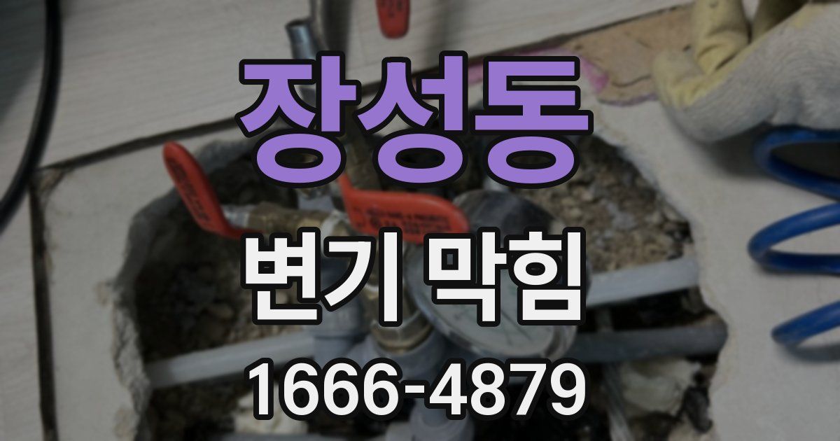 장성동 변기 막힘