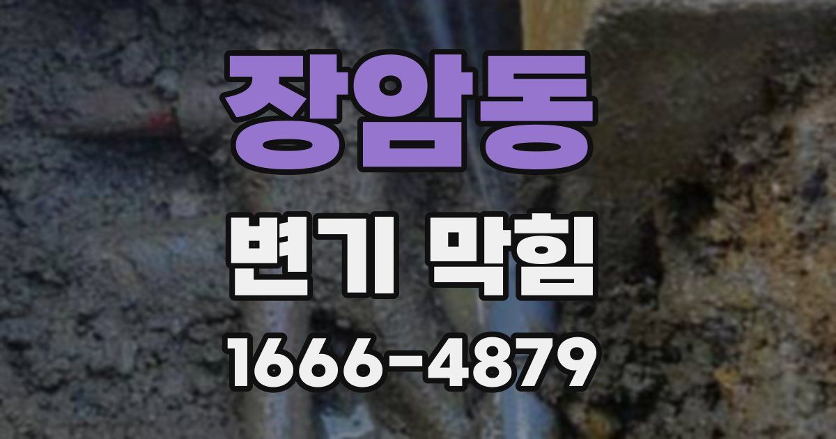 장암동 변기 막힘