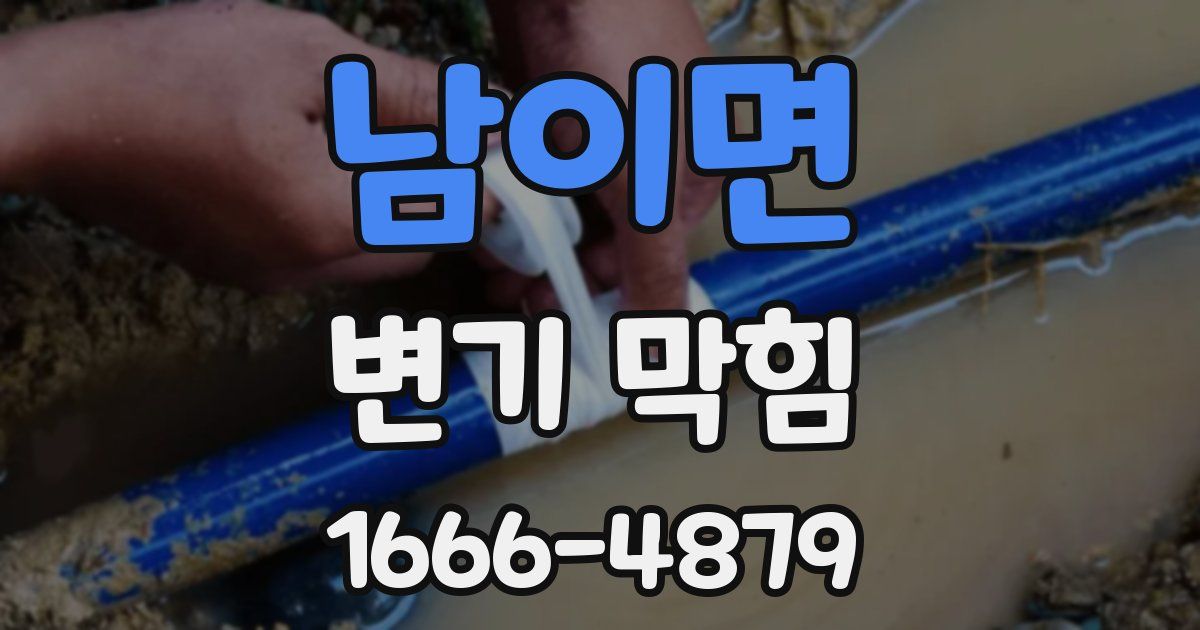남이면 변기 막힘