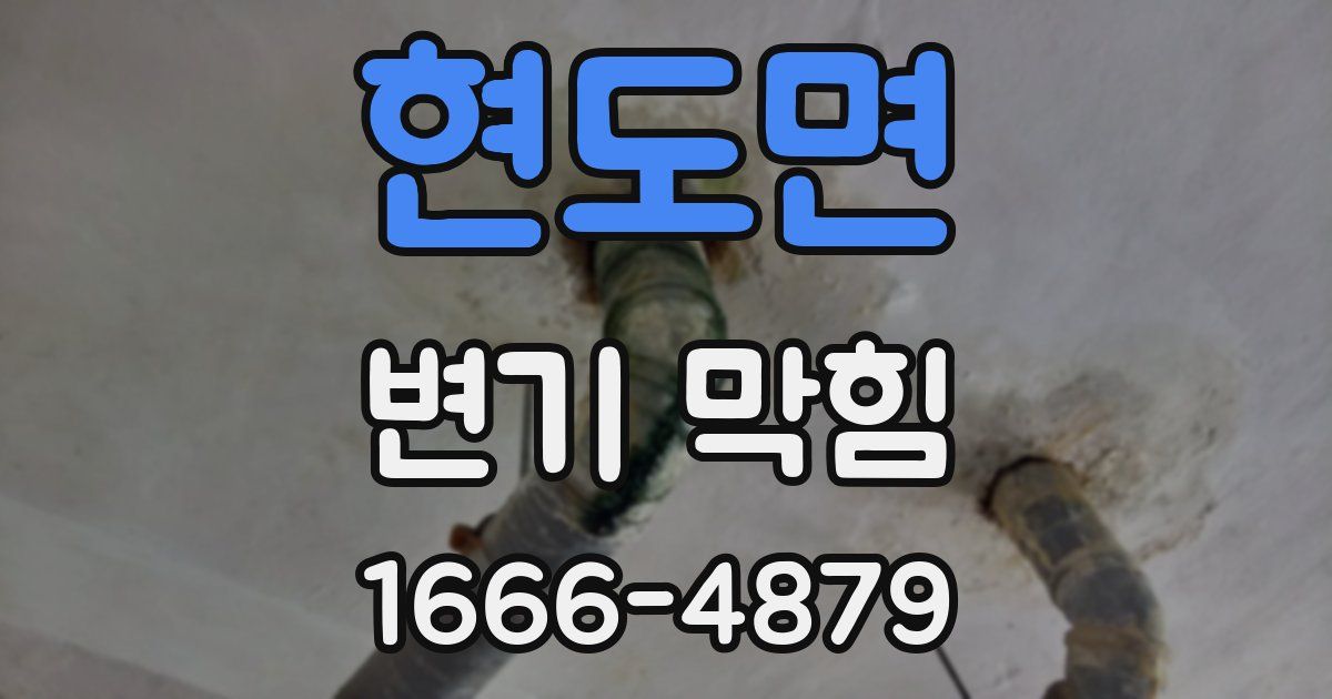 현도면 변기 막힘