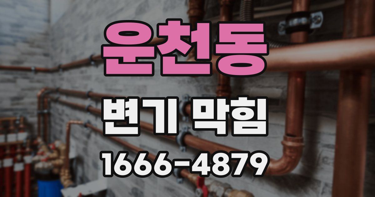 운천동 변기 막힘