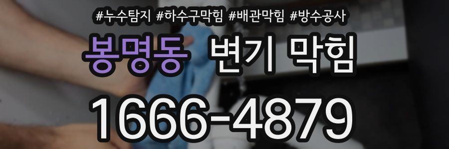 봉명동 변기 막힘
