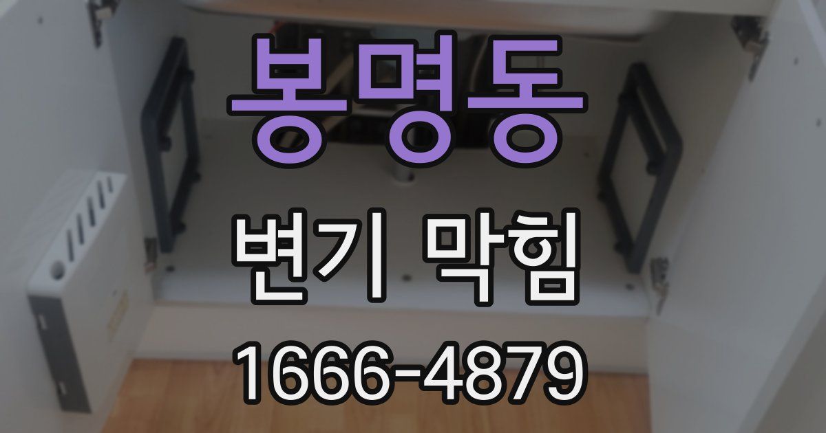 봉명동 변기 막힘