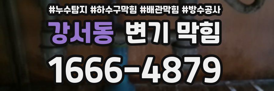 강서동 변기 막힘
