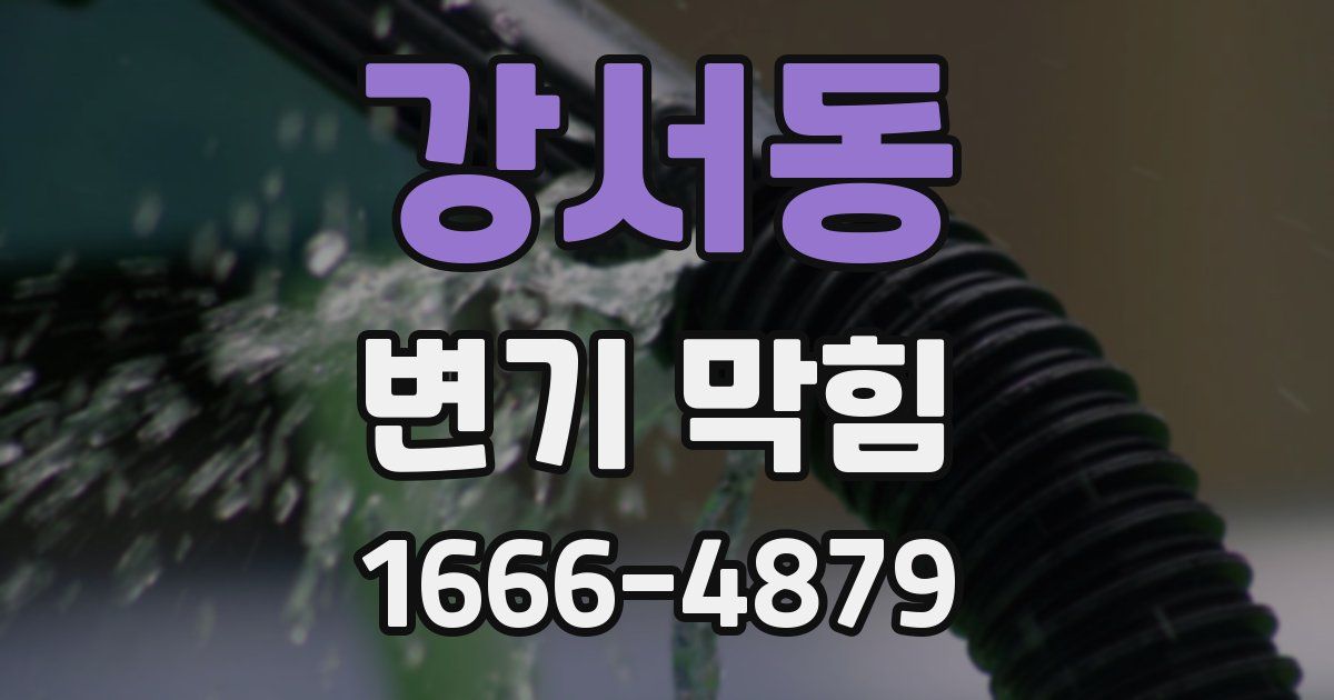 강서동 변기 막힘