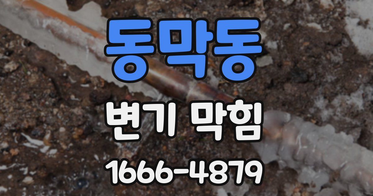 동막동 변기 막힘