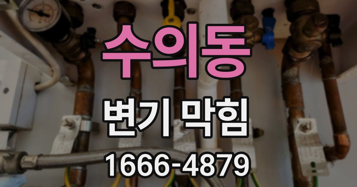 수의동 변기 막힘