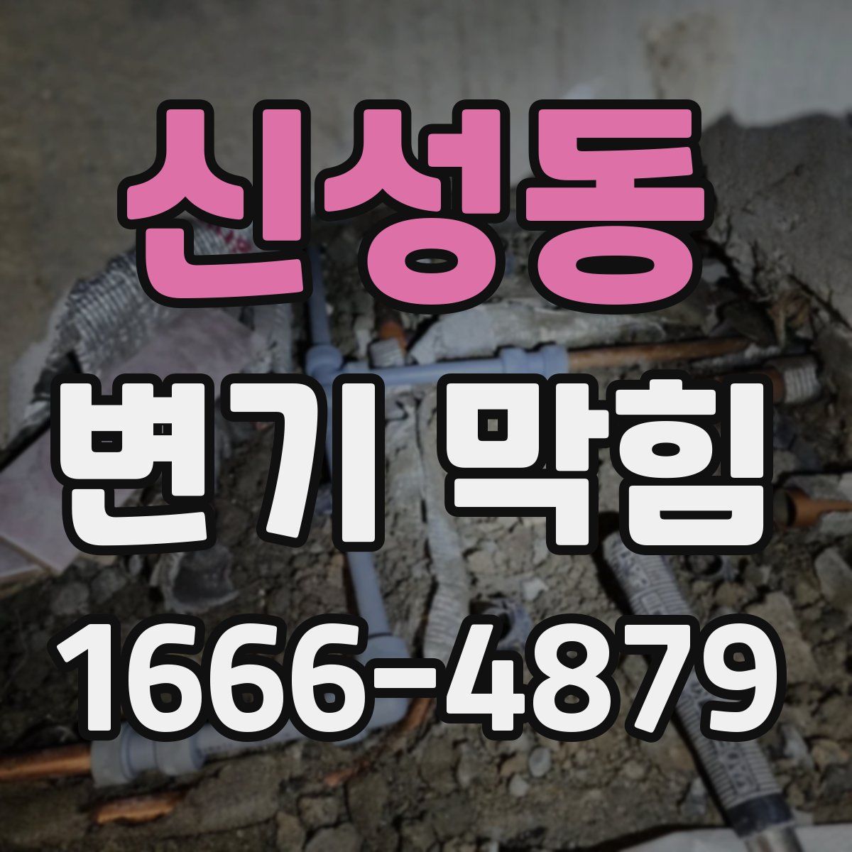 신성동 변기 막힘