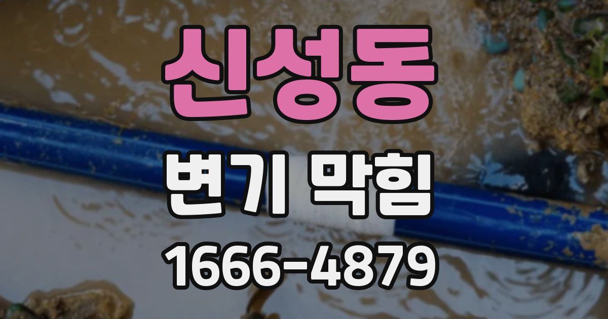 신성동 변기 막힘