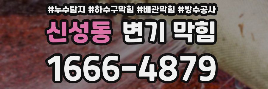 신성동 변기 막힘