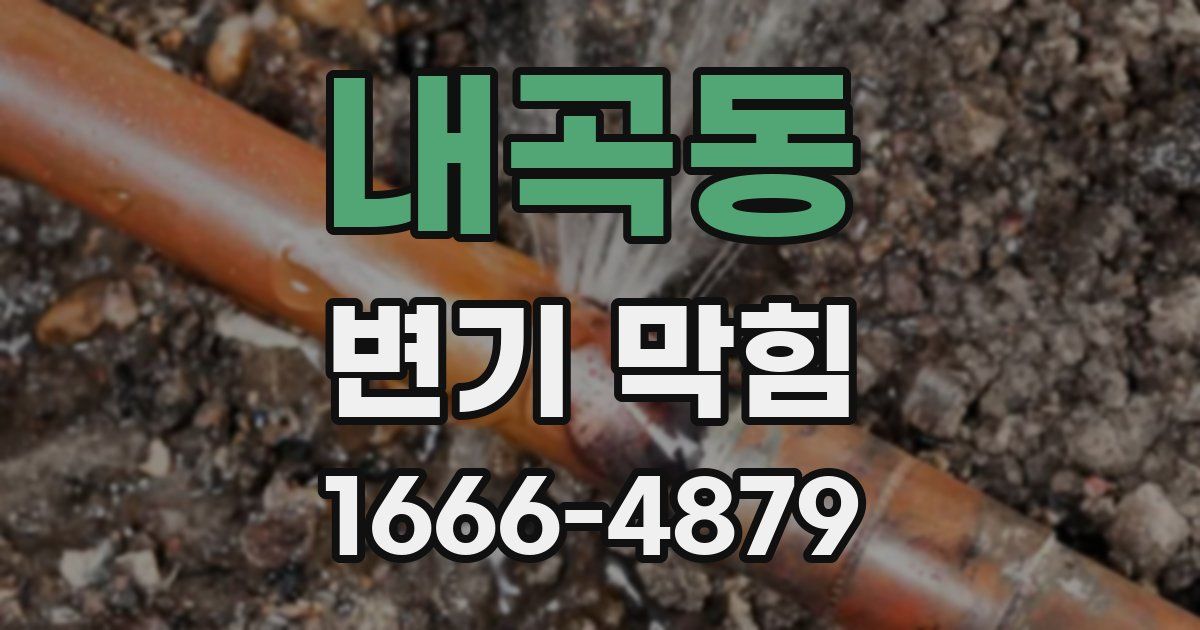 내곡동 변기 막힘