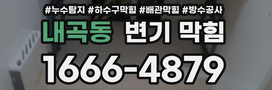 내곡동 변기 막힘
